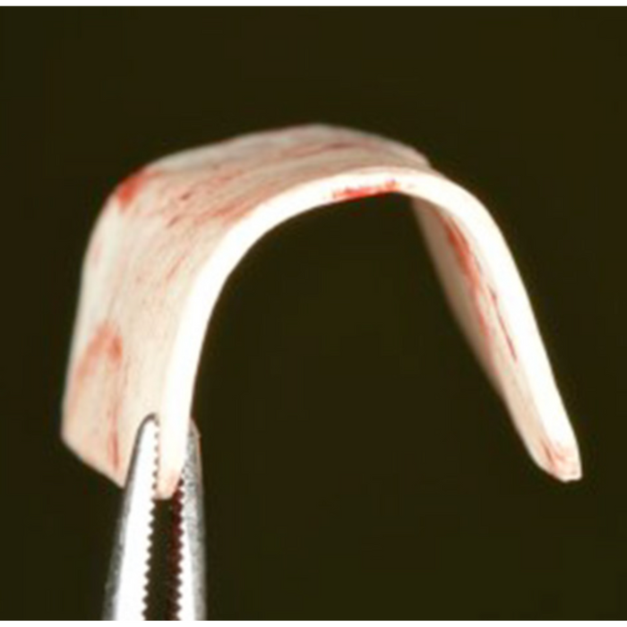 OX MEMBRANA CORTICALE IN OSSO FLESSIBILE
