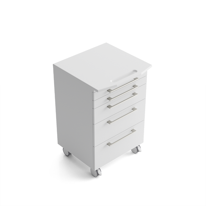 ZILFOR SERVOMOBILE ALTEA CON MANIGLIA