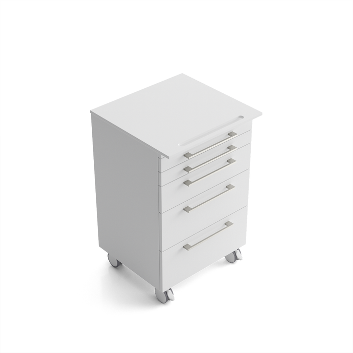 ZILFOR SERVOMOBILE PRISM CON MANIGLIA